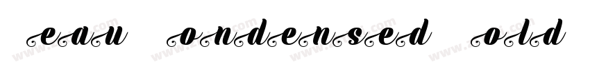 Beau Condensed BoldI字体转换